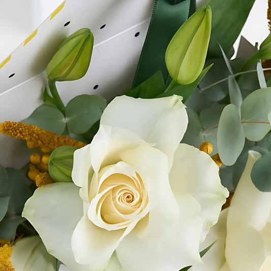 Soft Elegance – Sarı Zarf Kutuda Lilyum ve Lila Gül
