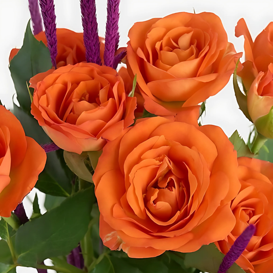 Orange Line – İnce Cam Vazoda Turuncu Çardak Güller