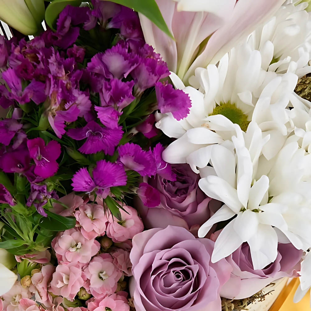 Violet Charm – Siyah Kutuda Lila Gül, Pembe Lilyum ve Papatya