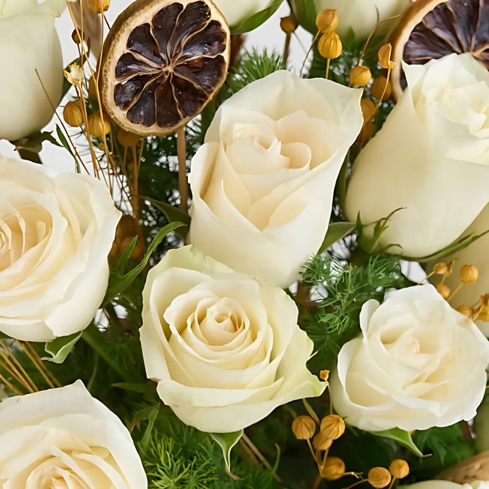 Beton Saksıda Beyaz Güller - Rosentra | Premium Flowers