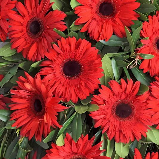 Tek Katlı Kırmızı Gerbera Çiçekleri Çelenk - Rosentra | Premium Flowers