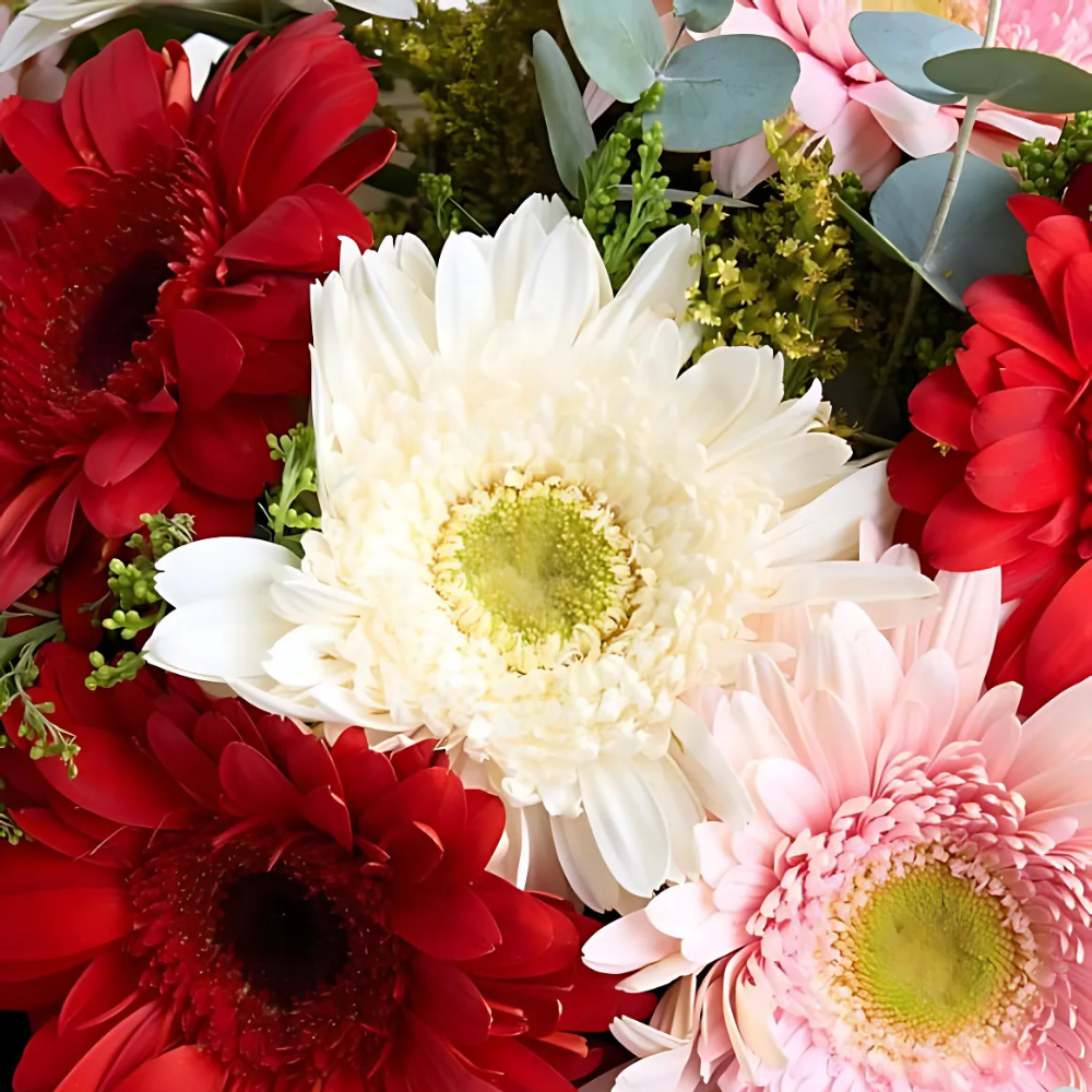 Yeşil Kahve Kağıtta Kırmızı Pembe Beyaz Gerbera Buketi - Rosentra | Premium Flowers