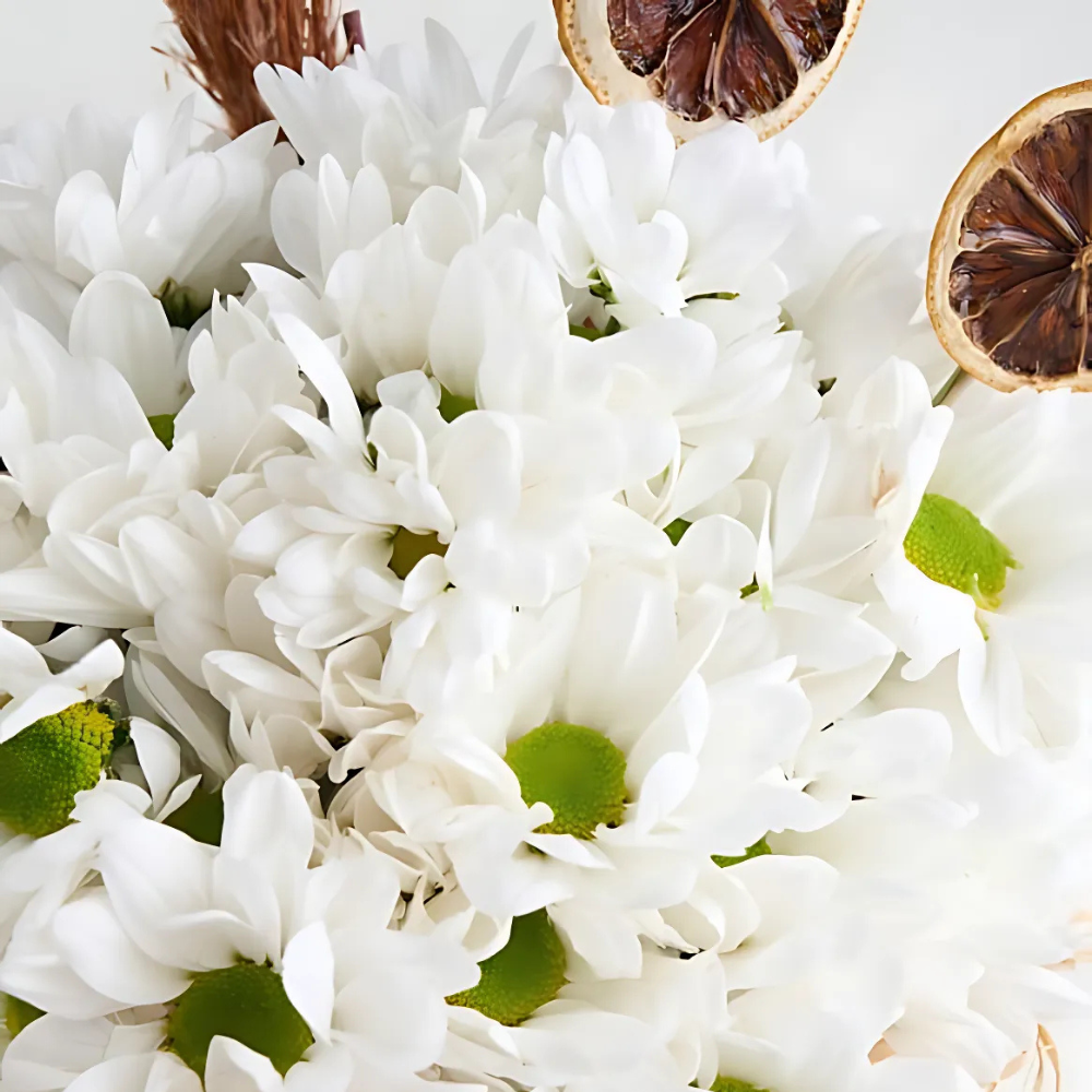 Yeşil Vazoda Beyaz Papatyalar - Rosentra | Premium Flowers