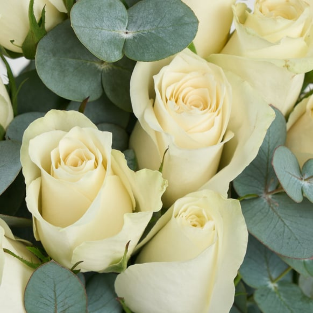 Premium Cam Vazoda 15 Beyaz Gül