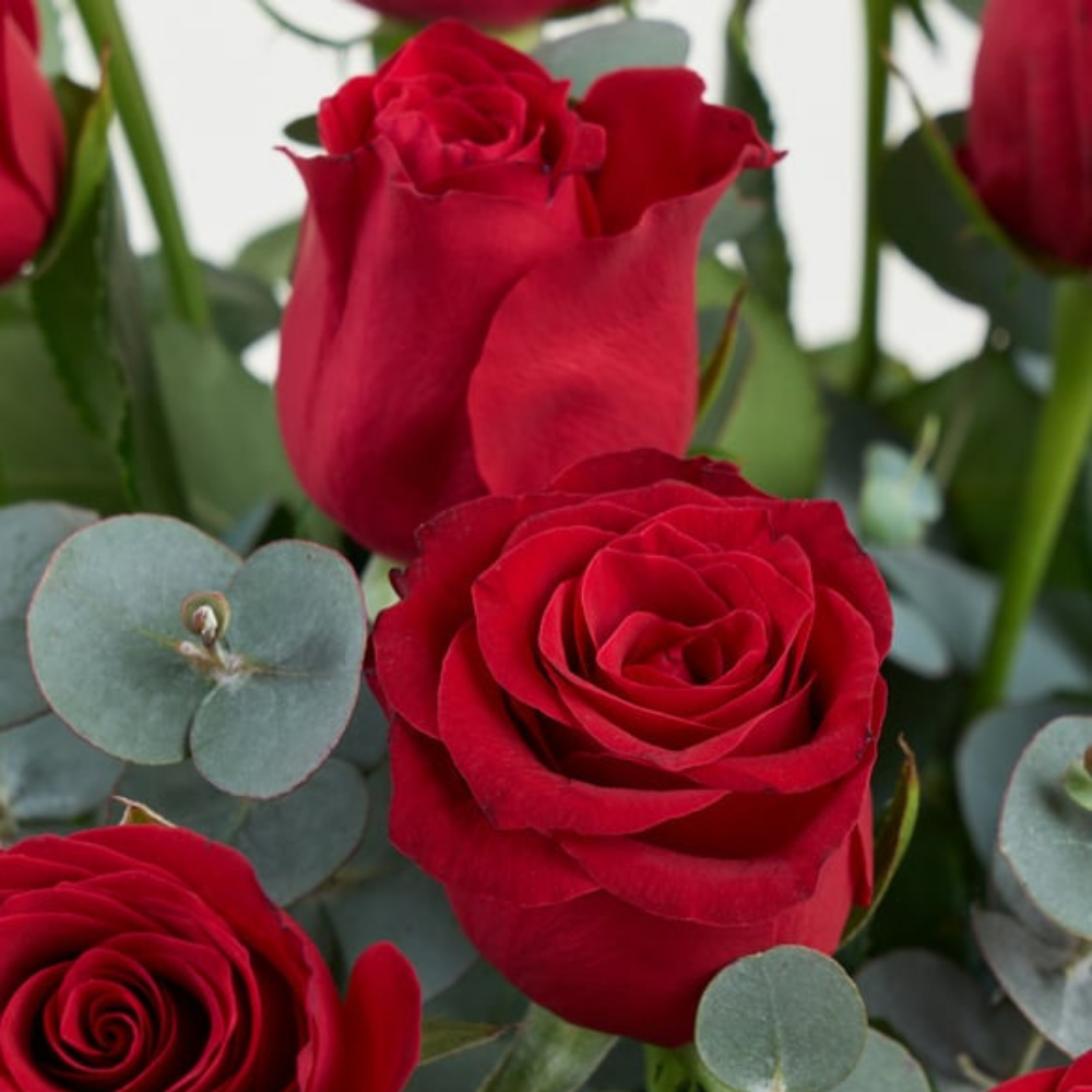 Premium Cam Vazoda 15 Kırmızı Gül