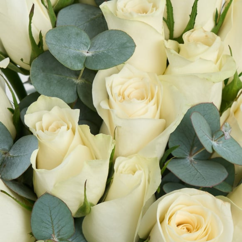 Premium Cam Vazoda 21 Beyaz Gül