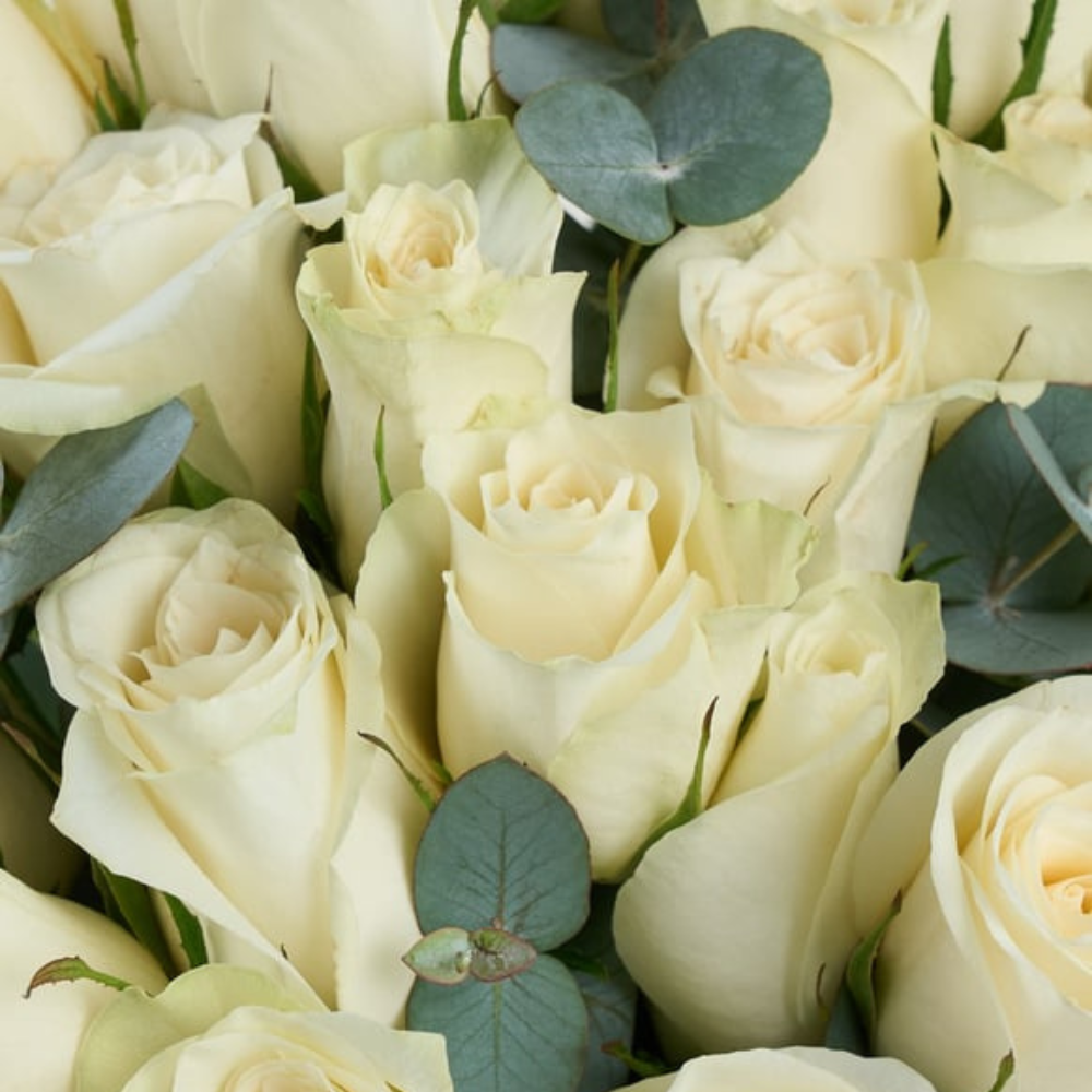 Premium Cam Vazoda 25 Beyaz Gül