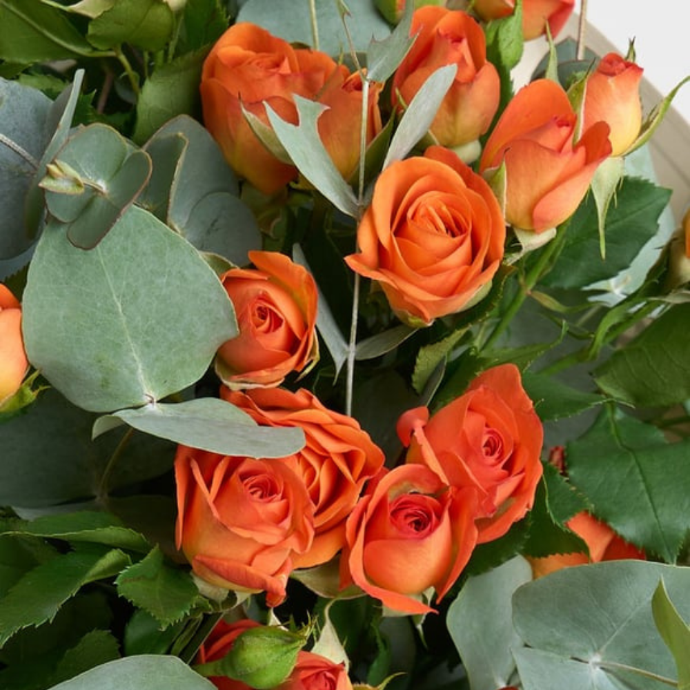 Urban Charm – Gül Buketi