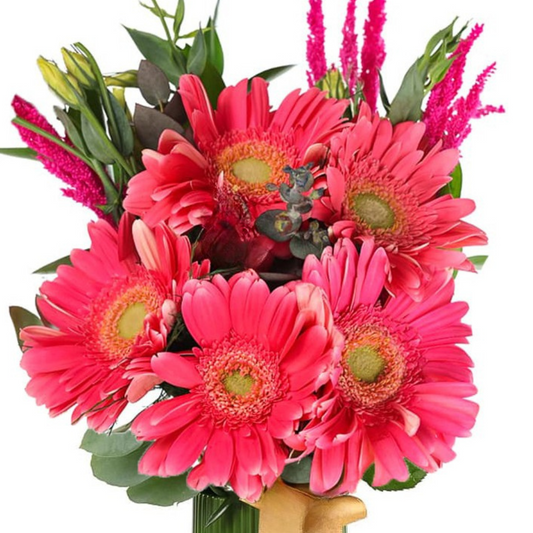 Coral Bay – Yeşil Vazoda Gerberalar