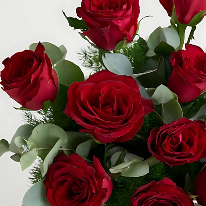 Vazoda 15'li Kırmızı Gül - Rosentra | Premium Flowers