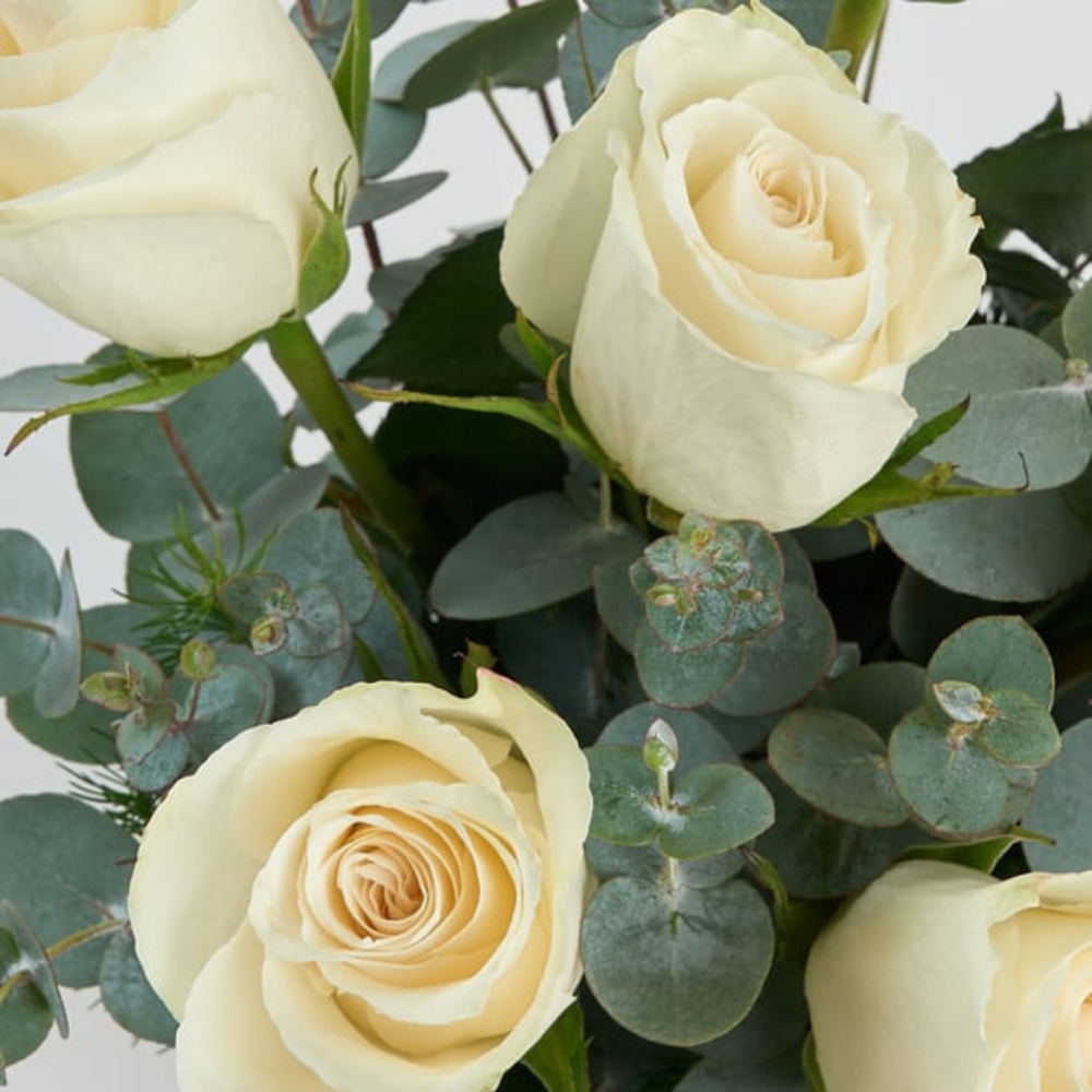 Vazoda 7’li Beyaz Gül - Rosentra | Premium Flowers