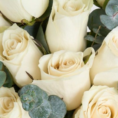 Vazoda 15'li Beyaz Gül - Rosentra | Premium Flowers