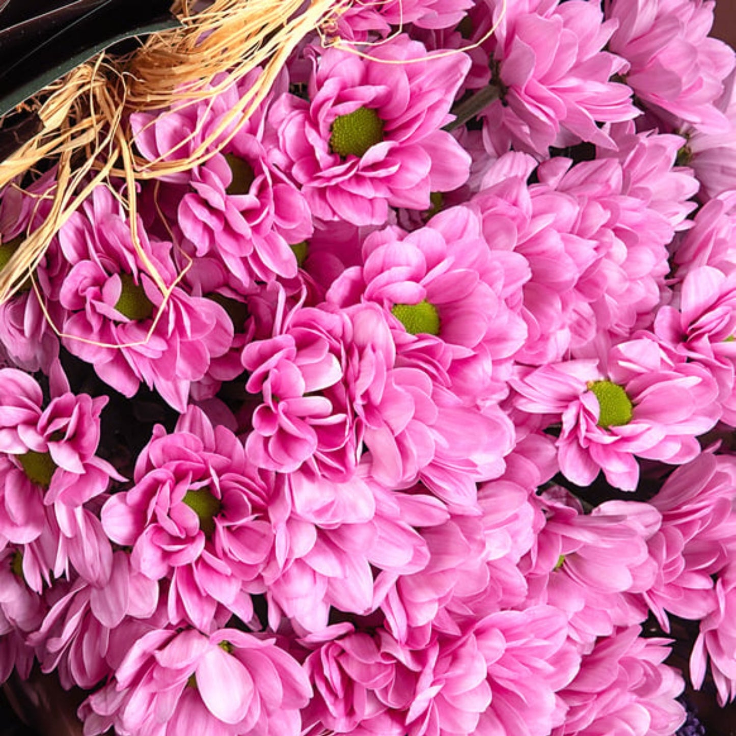 Green Whisper – Yeşil Kahve Bukette Pembe Papatya