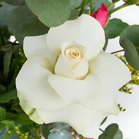 Blush Dream – Yeşil Vazoda Beyaz Gül ve Pembe Çardak Gül