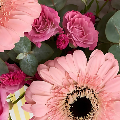 Blush Zarf – Sarı Zarf Pembe Gerbera ve Güller