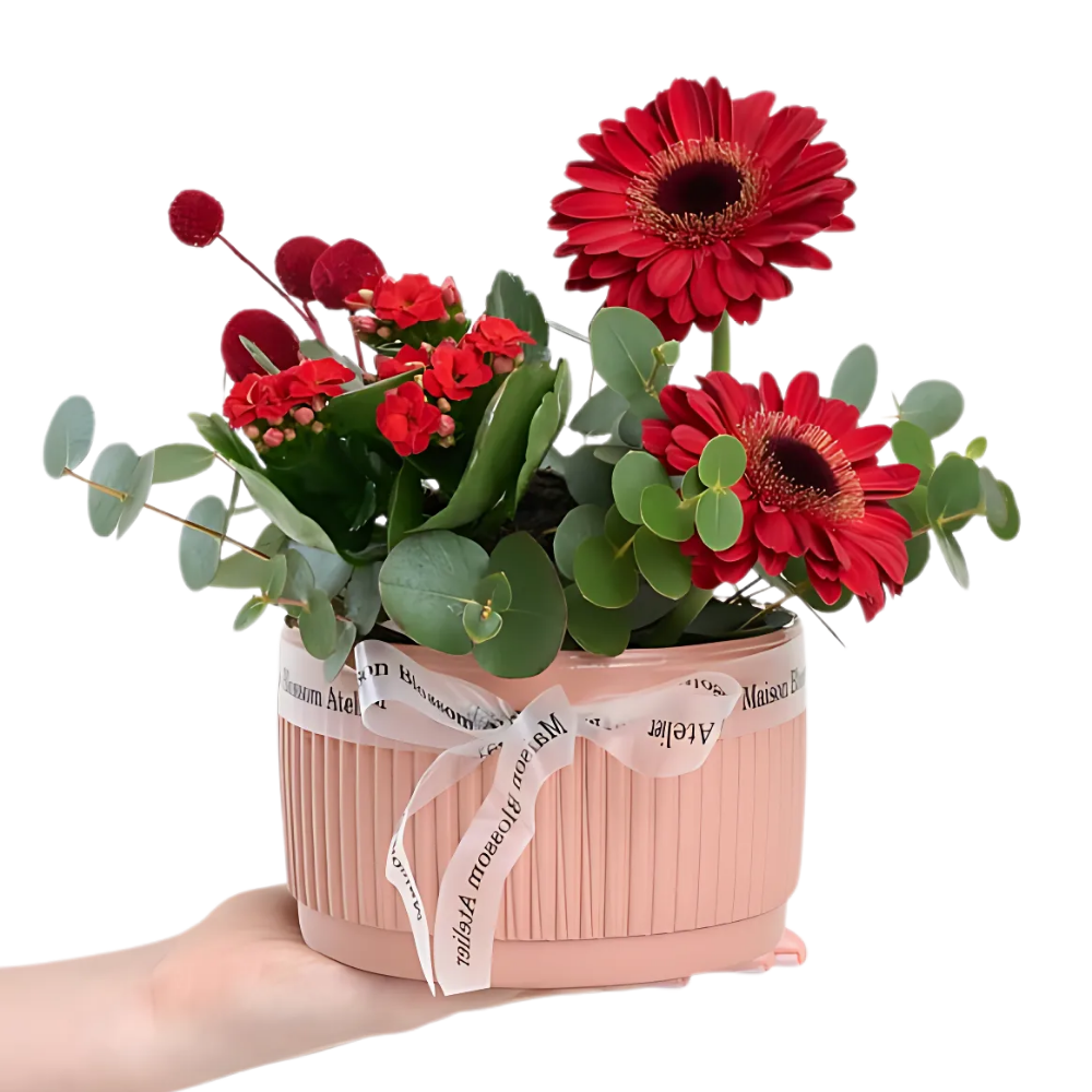 Terracotta Joy – Kiremit Saksıda Kırmızı Gerbera ve Kalanchoe