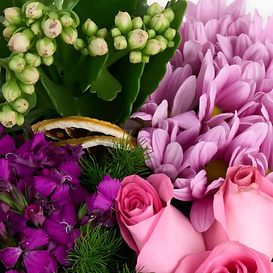 Bold Romance – Siyah Kutuda Gül, Hüsnüyusuf ve Kalanchoe