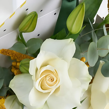 Soft Elegance – Sarı Zarf Kutuda Lilyum ve Lila Gül