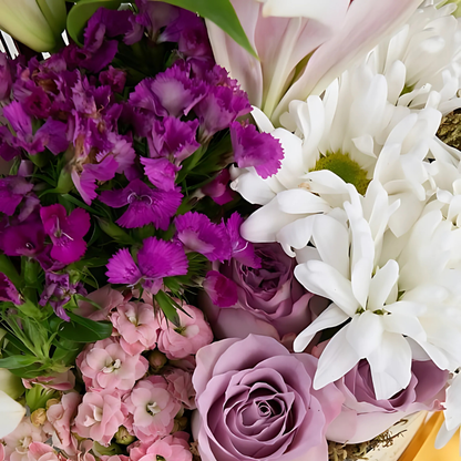 Violet Charm – Siyah Kutuda Lila Gül, Pembe Lilyum ve Papatya