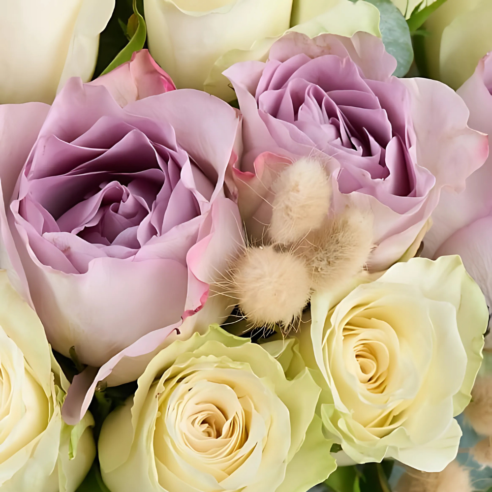 Lilac Duo – Yeşil Çizgili Vazoda Lila ve Beyaz Gül