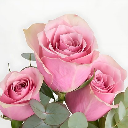 Soft Trio – İnce Cam Vazoda 3’lü Pembe Gül