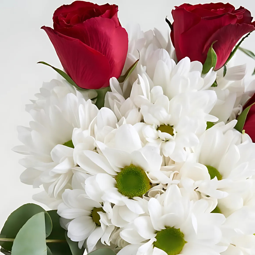 Siyah Vazoda Beyaz Papatyalar & Kırmızı Güller - Rosentra | Premium Flowers