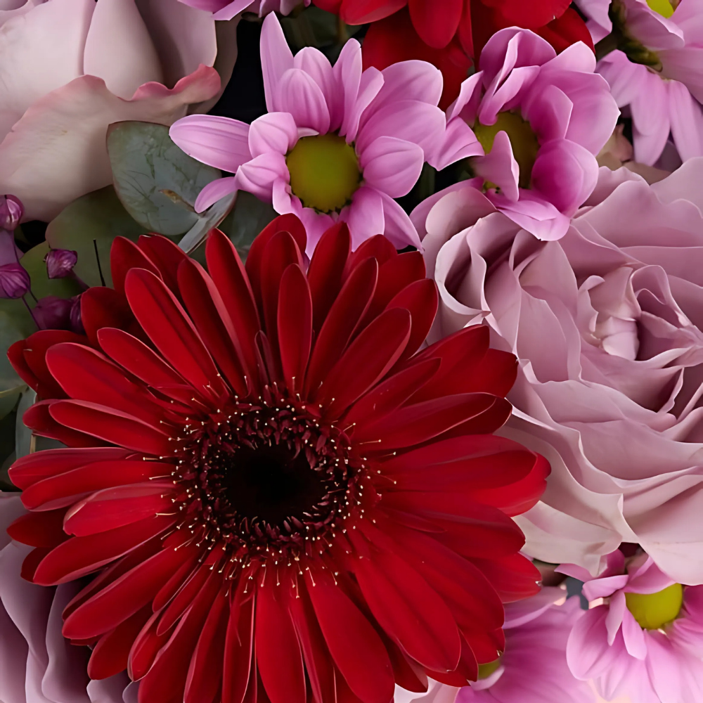 Color Box – Mor Zarf Kutuda Gül, Gerbera ve Papatya