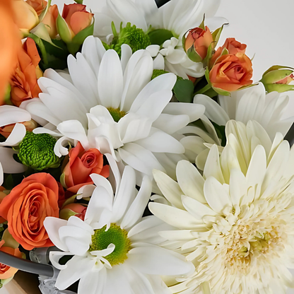 Field Light – Kraft Çantada Beyaz Gerbera ve Turuncu Çardak Gül