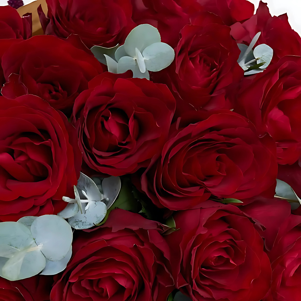 Gazete Kağıdında 50 Kırmızı Gül Buketi - Rosentra | Premium Flowers