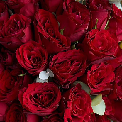 Premium Kraft 35 Kırmızı Gül Buketi - Rosentra | Premium Flowers