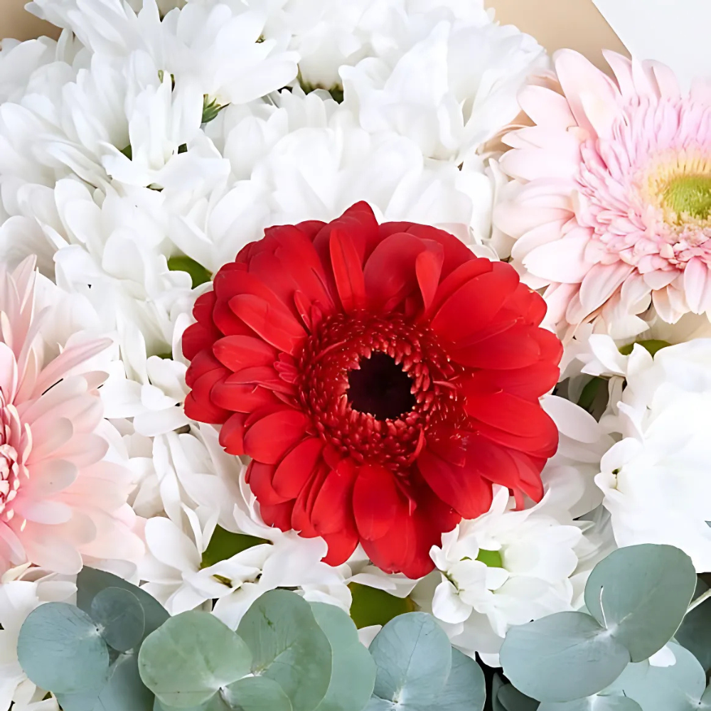 Yeşil Kahve Kağıtta Papatya ve Gerbera Buketi - Rosentra | Premium Flowers
