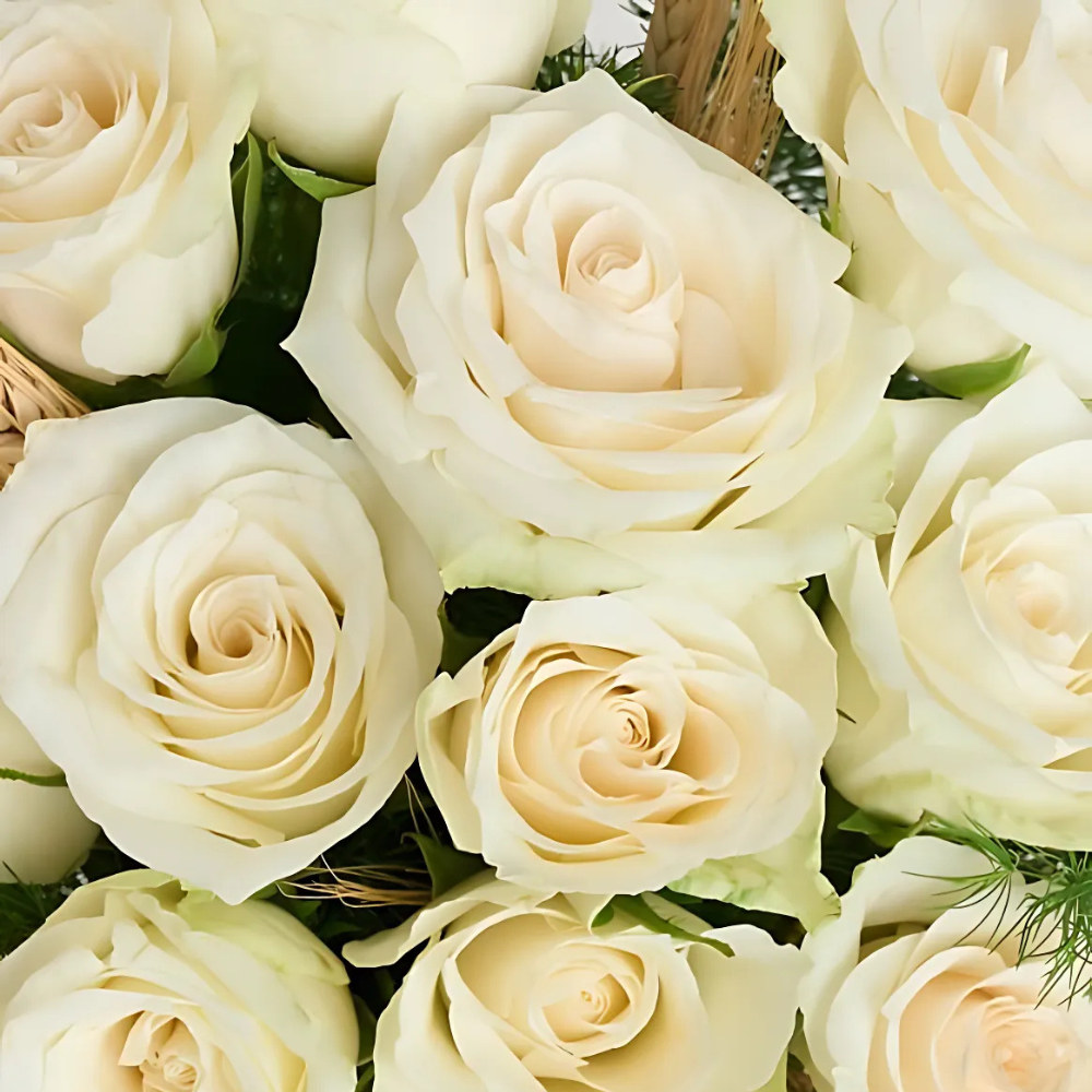 Yeşil Cam Vazoda 11 Beyaz Gül - Rosentra | Premium Flowers