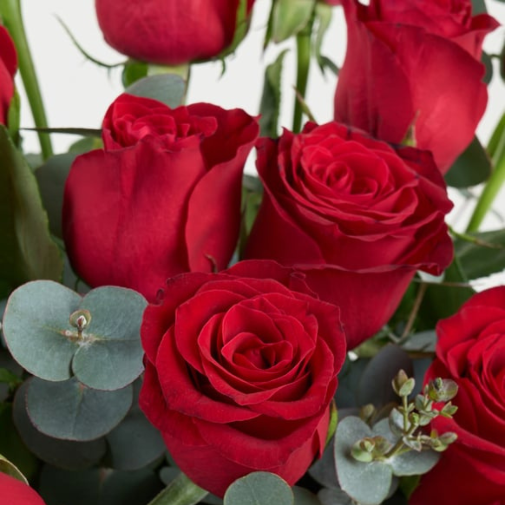 Premium Cam Vazoda 21 Kırmızı Gül