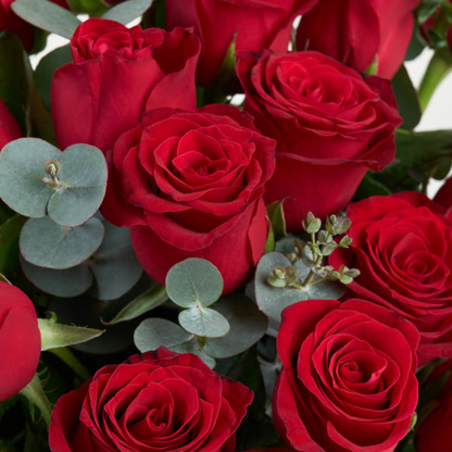 Premium Cam Vazoda 25 Kırmızı Gül