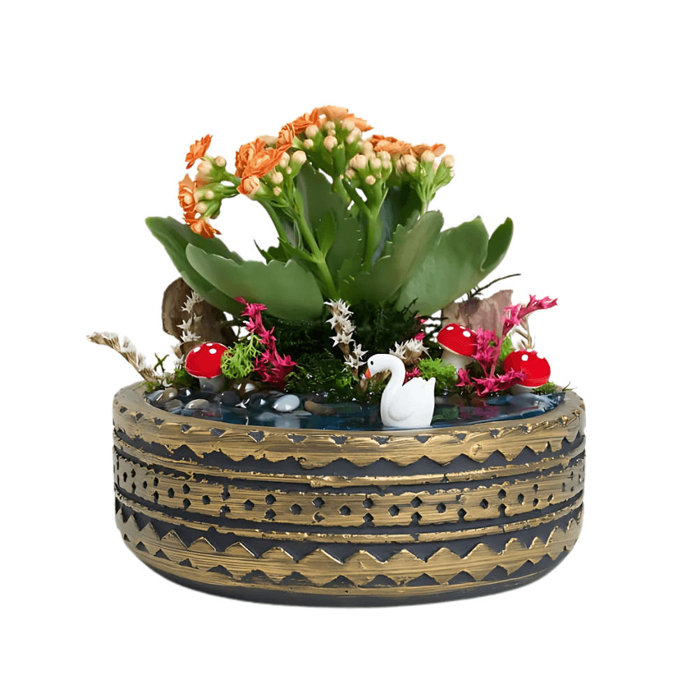 Saksıda Turuncu Kalanchoe Teraryum - Rosentra | Premium Flowers
