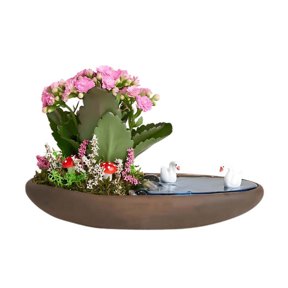 Saksıda Pembe Kalanchoe Teraryum - Rosentra | Premium Flowers