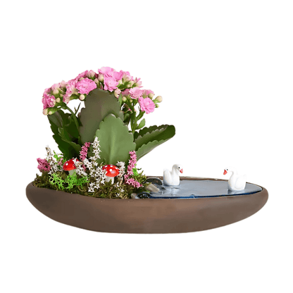 Saksıda Pembe Kalanchoe Teraryum - Rosentra | Premium Flowers