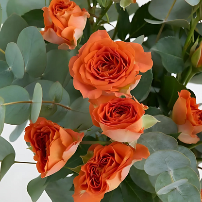 Premium Cam Vazoda Turuncu Çardak Güller - Rosentra | Premium Flowers