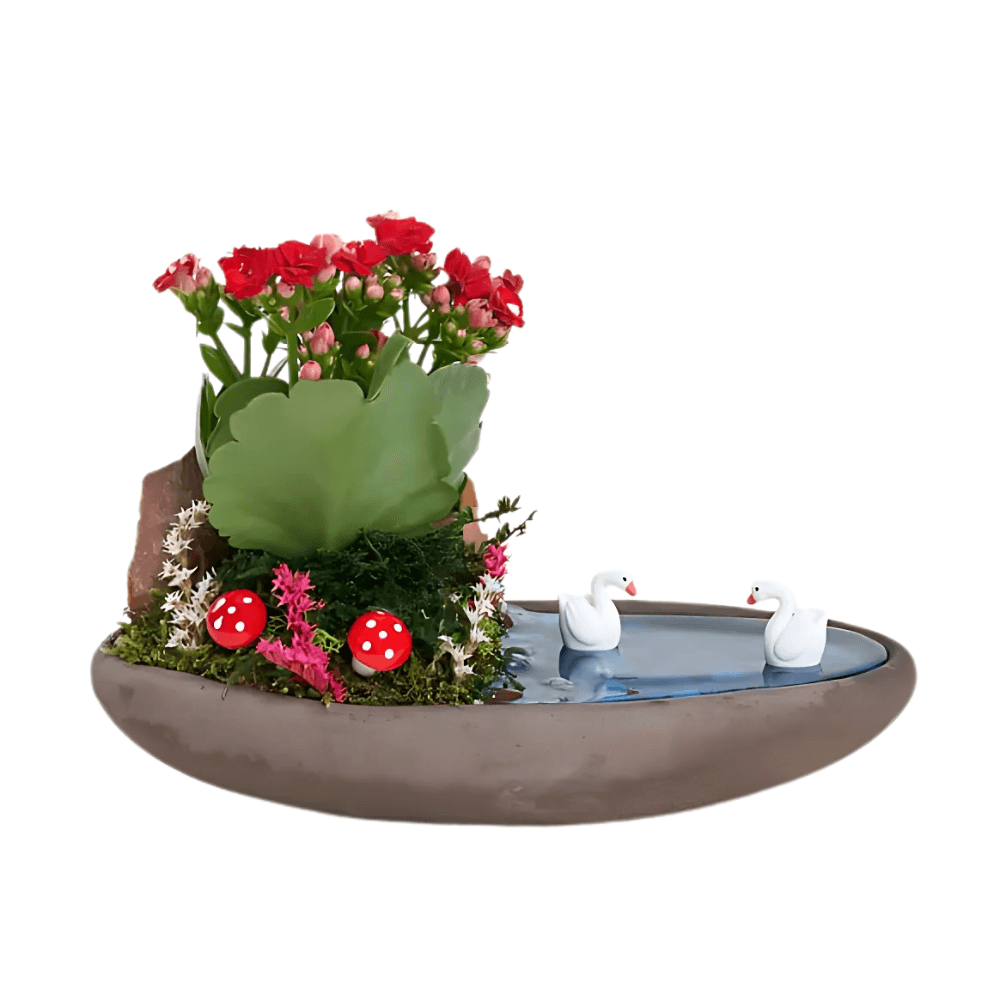 Saksıda Kırmızı Kalanchoe Teraryum - Rosentra | Premium Flowers