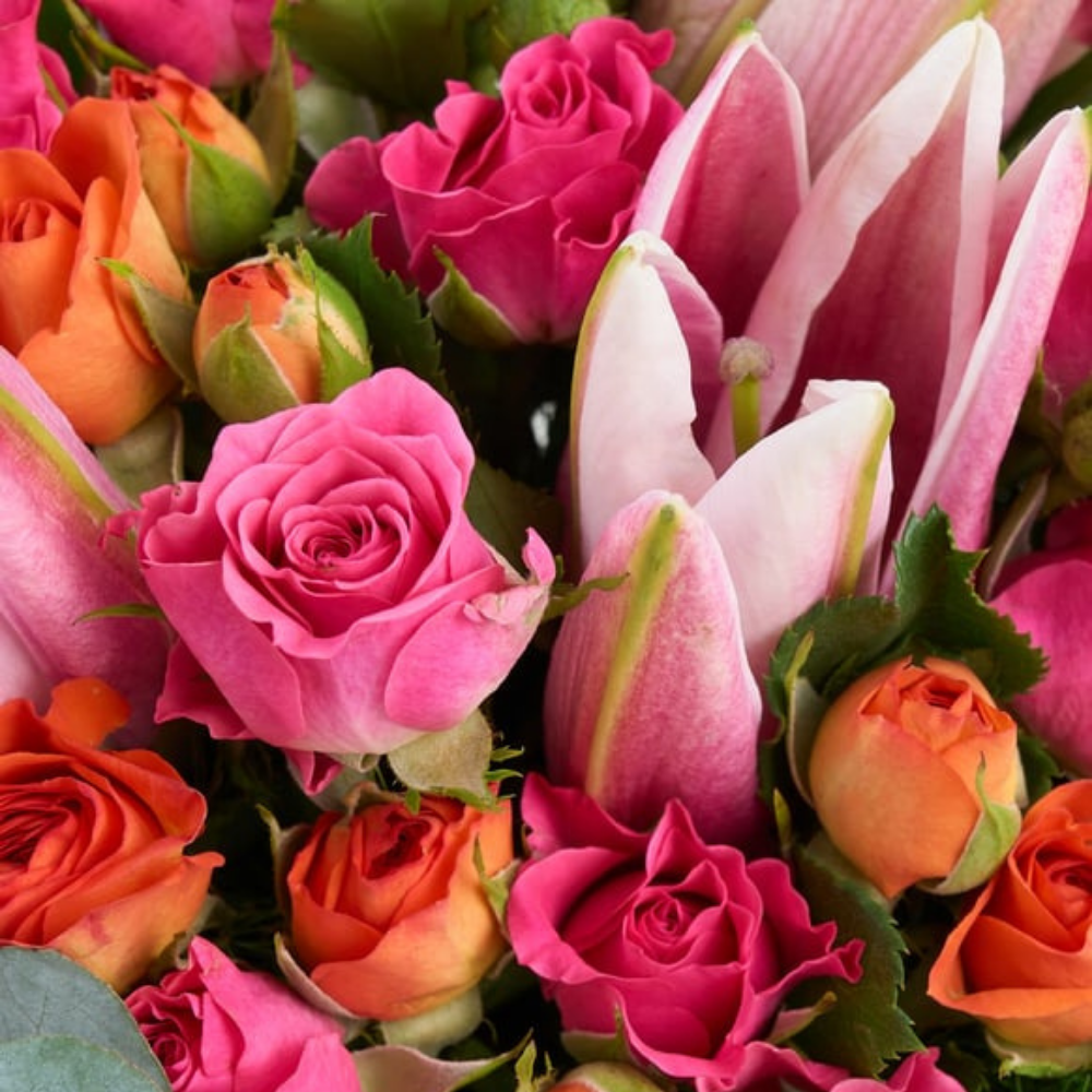 Bloom Blend – Saksıda Lilyum ve Gül