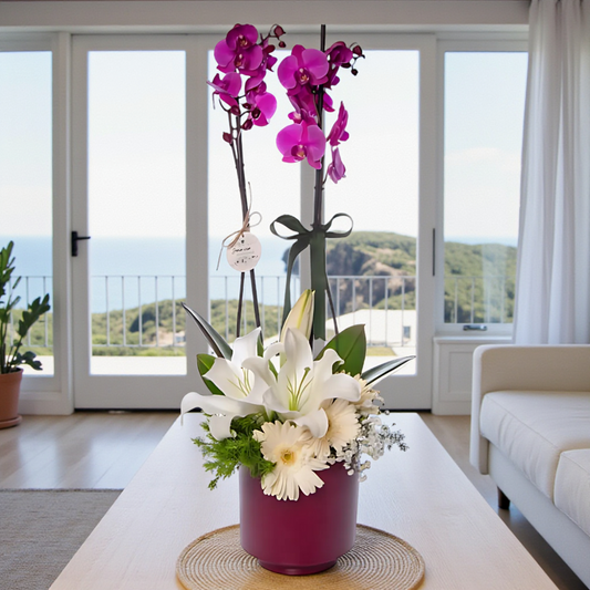 Saksıda Mor Orkide & Beyaz Lilyum & Gerbera
