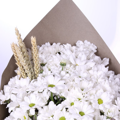 Premium Kraft Papatya Buketi - Rosentra | Premium Flowers