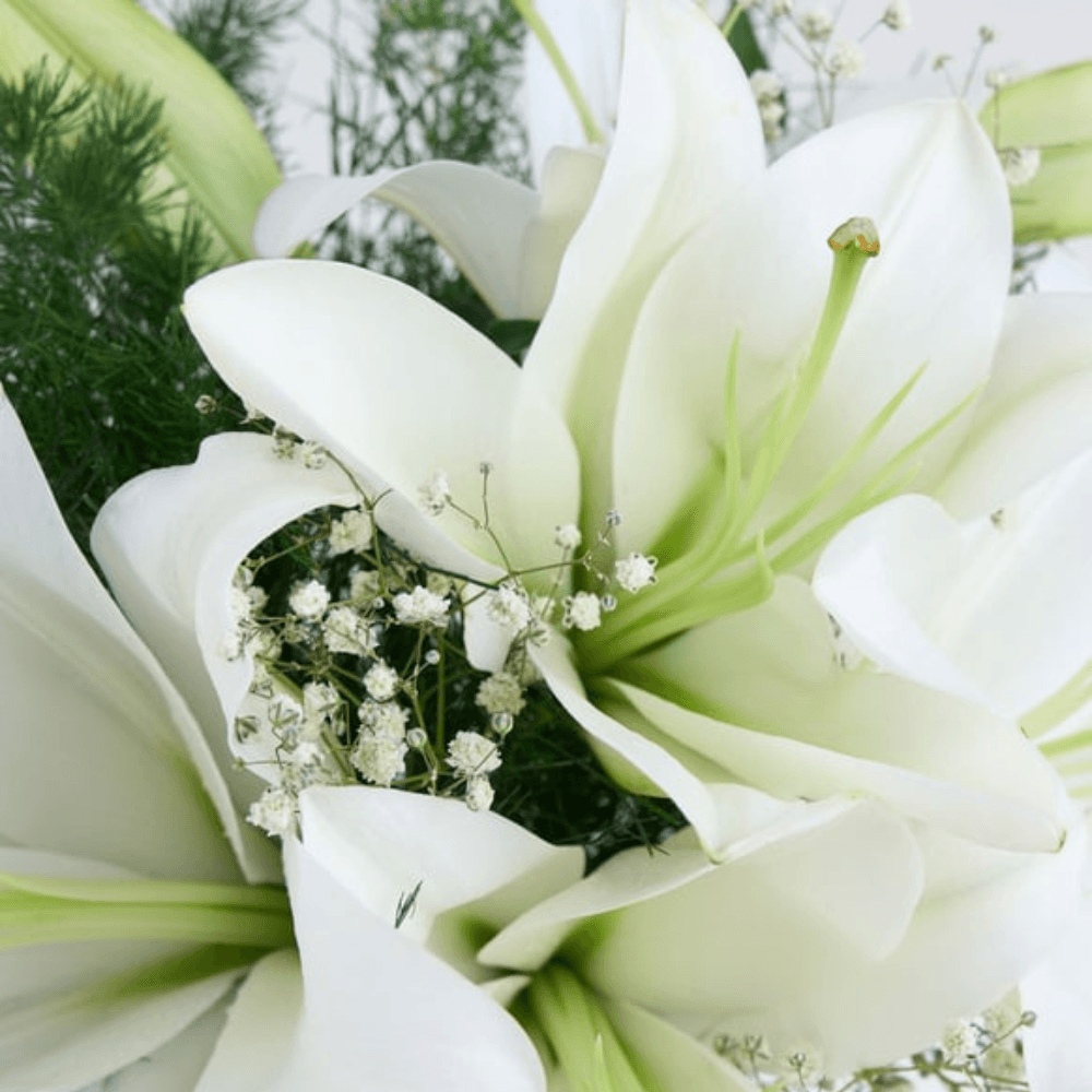 Vazoda Lilyum Aranjmanı - Rosentra | Premium Flowers