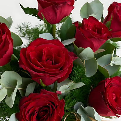 Vazoda 7'li Kırmızı Gül - Rosentra | Premium Flowers
