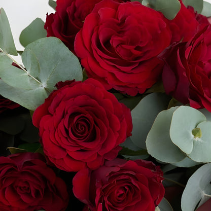 Red Embrace – Somon Bukette 20 Kırmızı Gül