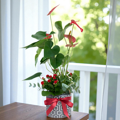 Kare Desenli Saksıda Antoryum ve Kırmızı Kalanchoe
