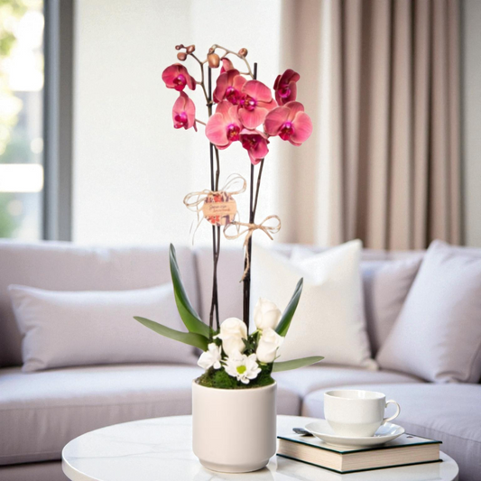 Çift Dal Ateş Kırmızısı Orkide & Beyaz Güller
