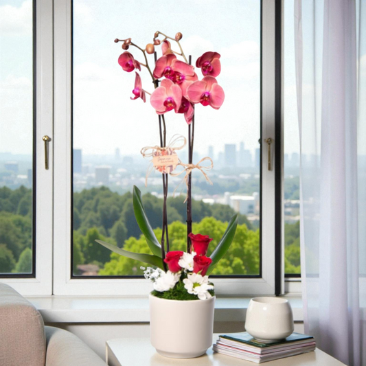 Çift Dal Ateş Kırmızısı Orkide & Kırmızı Gül