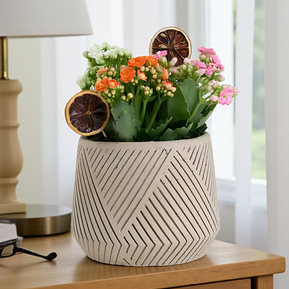 Çizgili Saksıda Renkli Kalanchoe