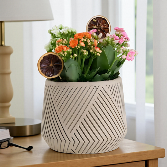 Çizgili Saksıda Renkli Kalanchoe